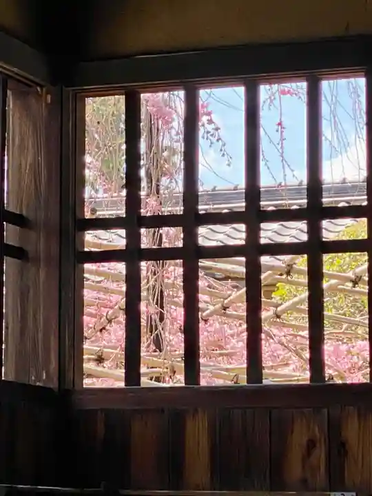 妙蓮寺(京都府)