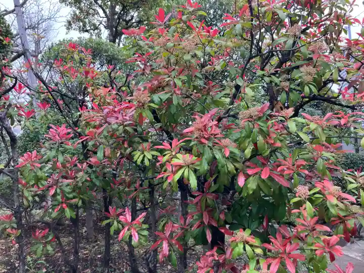 伏見市場稲荷大神の{uncategorized: "未分類", other: "その他", undefined: "問題あり", building: "その他建物", grave: "お墓", sacred_gate: "鳥居", guardian: "狛犬", statue: "像", buddha: "仏像", history: "歴史", nature: "自然", garden: "庭園", animal: "動物", pagoda: "塔", temizu: "手水舎", mountain_gate: "山門・神門", sanctuary: "本殿・本堂", subordinate: "末社・摂社", art: "芸術", scenery: "景色", jizo: "地蔵", ema: "絵馬", goshuin: "御朱印", omikuji: "おみくじ", items: "授与品その他", amulet: "お守り", goshuincho: "御朱印帳", eats: "食事", festival: "お祭り", votive_dance: "神楽", shichigosan: "七五三参", wedding: "結婚式", experience: "体験その他", initially: "初詣", around: "周辺", anti_infection: "感染症対策"}