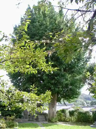 橋寺 放生院の自然