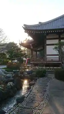養源寺の本殿・本堂