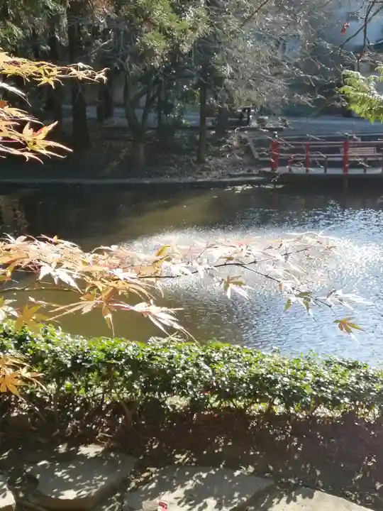 間々田八幡宮の庭園
