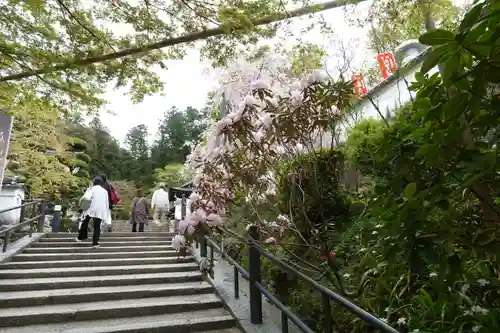 岡寺（龍蓋寺）のその他建物