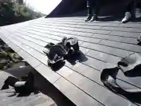 白狐山光星寺のその他建物