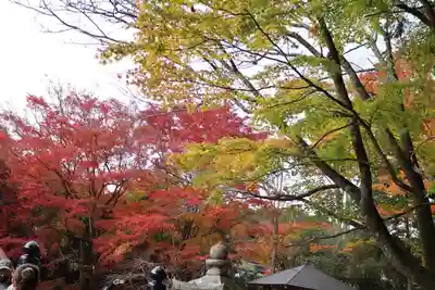 丹生都比売神社(和歌山県)