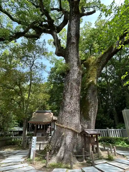 伊弉諾神宮の{uncategorized: "未分類", other: "その他", undefined: "問題あり", building: "その他建物", grave: "お墓", sacred_gate: "鳥居", guardian: "狛犬", statue: "像", buddha: "仏像", history: "歴史", nature: "自然", garden: "庭園", animal: "動物", pagoda: "塔", temizu: "手水舎", mountain_gate: "山門・神門", sanctuary: "本殿・本堂", subordinate: "末社・摂社", art: "芸術", scenery: "景色", jizo: "地蔵", ema: "絵馬", goshuin: "御朱印", omikuji: "おみくじ", items: "授与品その他", amulet: "お守り", goshuincho: "御朱印帳", eats: "食事", festival: "お祭り", votive_dance: "神楽", shichigosan: "七五三参", wedding: "結婚式", experience: "体験その他", initially: "初詣", around: "周辺", anti_infection: "感染症対策"}