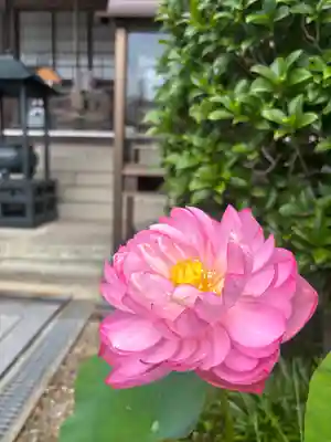 素盞嗚神社(兵庫県)