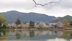 大覚寺の景色