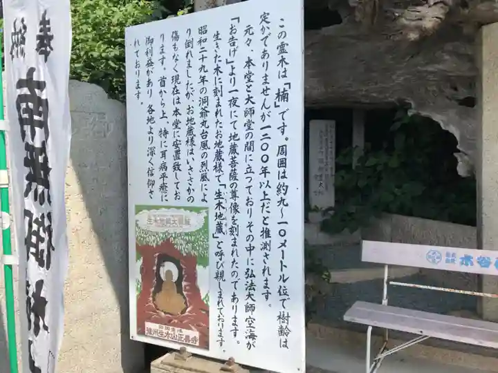 正善寺(生木地蔵)(愛媛県)