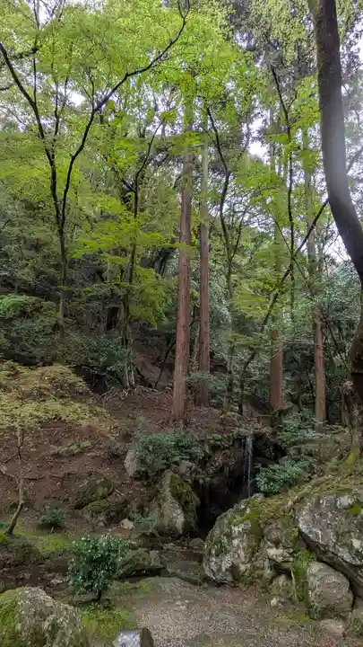 醍醐寺(京都府)