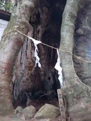 黒沼神社(福島県)