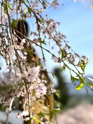 新海三社神社(長野県)
