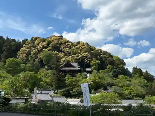 長谷寺本坊　大講堂の{uncategorized: "未分類", other: "その他", undefined: "問題あり", building: "その他建物", grave: "お墓", sacred_gate: "鳥居", guardian: "狛犬", statue: "像", buddha: "仏像", history: "歴史", nature: "自然", garden: "庭園", animal: "動物", pagoda: "塔", temizu: "手水舎", mountain_gate: "山門・神門", sanctuary: "本殿・本堂", subordinate: "末社・摂社", art: "芸術", scenery: "景色", jizo: "地蔵", ema: "絵馬", goshuin: "御朱印", omikuji: "おみくじ", items: "授与品その他", amulet: "お守り", goshuincho: "御朱印帳", eats: "食事", festival: "お祭り", votive_dance: "神楽", shichigosan: "七五三参", wedding: "結婚式", experience: "体験その他", initially: "初詣", around: "周辺", anti_infection: "感染症対策"}