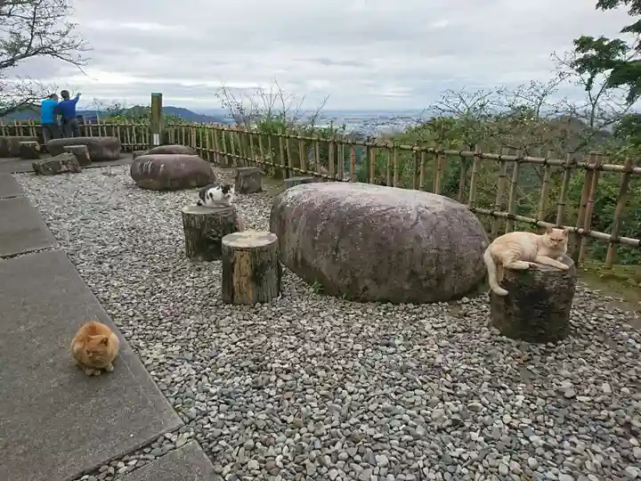 唐澤山神社の動物
