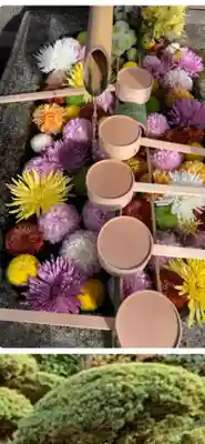 勝林寺の手水舎