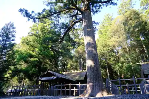 瀧原宮(皇大神宮別宮)(三重県)