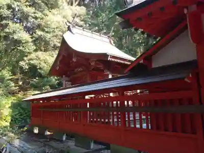 熊野神社の本殿・本堂