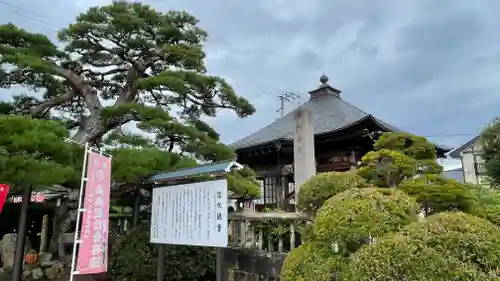 観音寺の建物その他