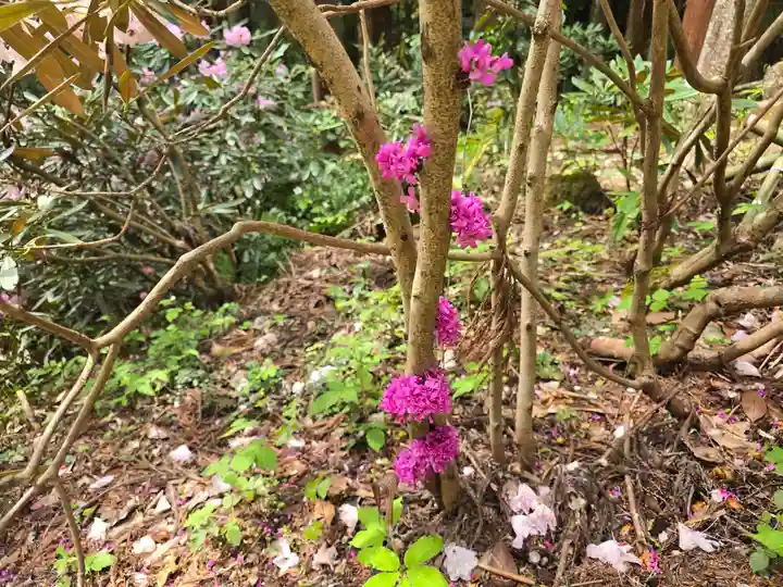 室生寺奥の院(奈良県)