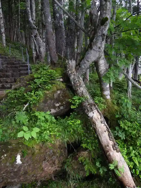 三笠山神社(長野県)