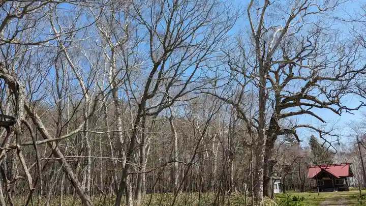 豊受神社の自然