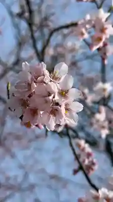 龍石寺(埼玉県)