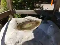 蓮華寺の手水舎