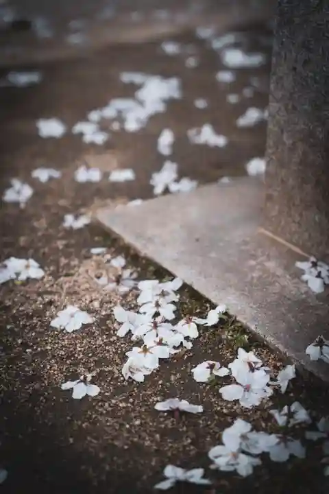 長柄八幡宮(大阪府)