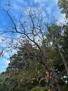 伊勢の国 四天王寺(三重県)(2023年11月13日(月) 12時35分52秒投稿)