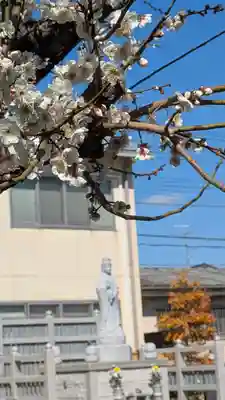 大松禅寺(京都府)