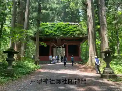戸隠神社奥社(長野県)