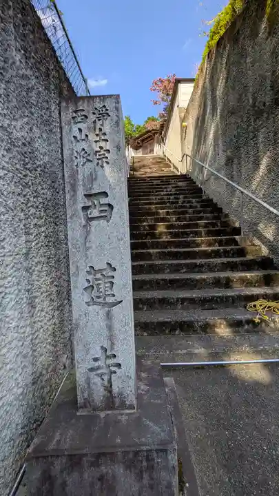 西蓮寺(京都府)