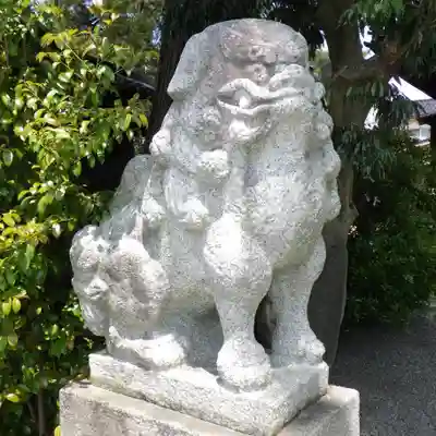 金刀比羅宮 天満天神宮の狛犬