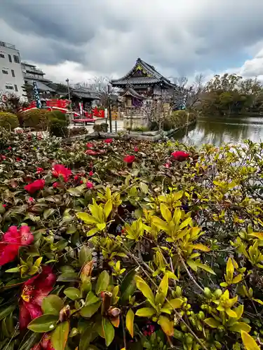 神泉苑(京都府)