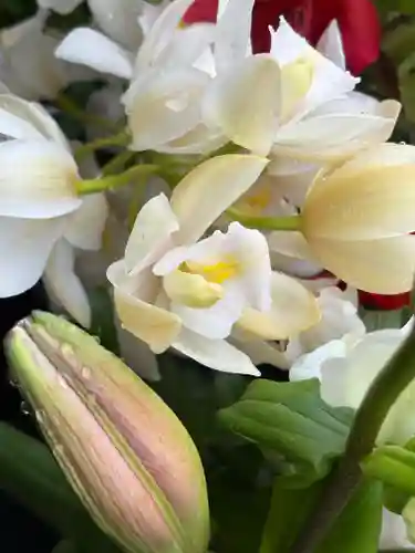 上尾御嶽神社の手水舎
