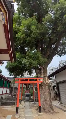 上の天神 生根神社(大阪府)