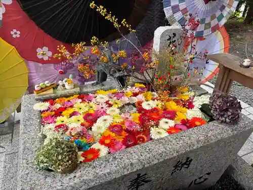 札幌諏訪神社の手水