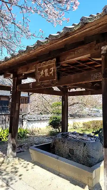 橘寺の手水舎