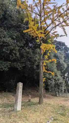 豊国廟（豊国神社飛地境内）(京都府)