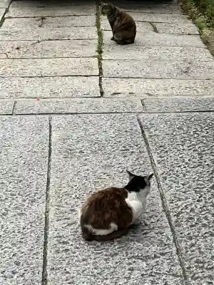 七宮神社の{uncategorized: "未分類", other: "その他", undefined: "問題あり", building: "その他建物", grave: "お墓", sacred_gate: "鳥居", guardian: "狛犬", statue: "像", buddha: "仏像", history: "歴史", nature: "自然", garden: "庭園", animal: "動物", pagoda: "塔", temizu: "手水舎", mountain_gate: "山門・神門", sanctuary: "本殿・本堂", subordinate: "末社・摂社", art: "芸術", scenery: "景色", jizo: "地蔵", ema: "絵馬", goshuin: "御朱印", omikuji: "おみくじ", items: "授与品その他", amulet: "お守り", goshuincho: "御朱印帳", eats: "食事", festival: "お祭り", votive_dance: "神楽", shichigosan: "七五三参", wedding: "結婚式", experience: "体験その他", initially: "初詣", around: "周辺", anti_infection: "感染症対策"}