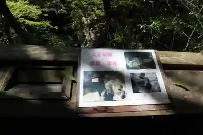 元伊勢天岩戸神社(京都府)