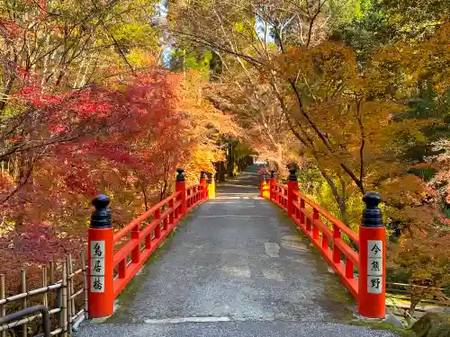 今熊野観音寺(京都府)