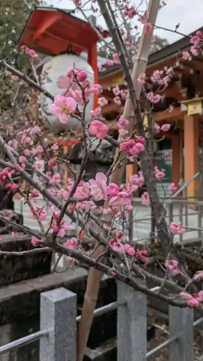 長岡天満宮の自然