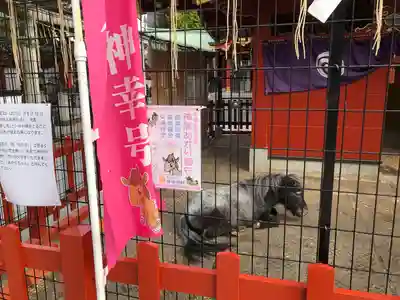 神田神社（神田明神）(東京都)
