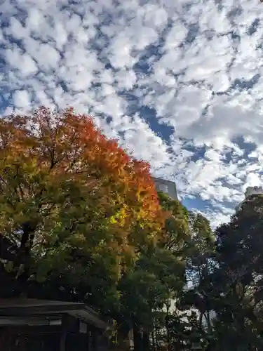 乃木神社(東京都)