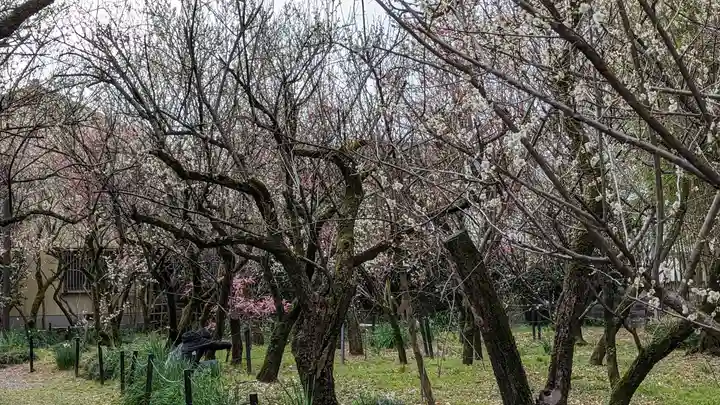 梅宮大社(京都府)