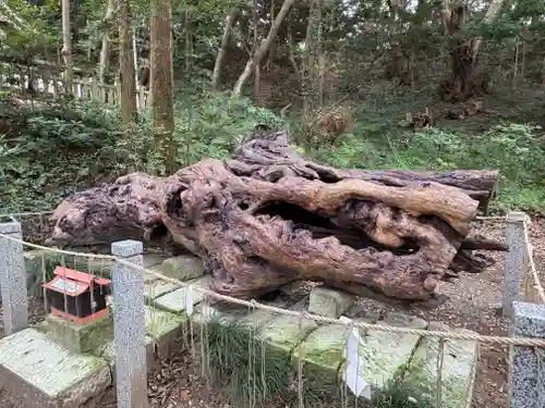 泉神社(茨城県)