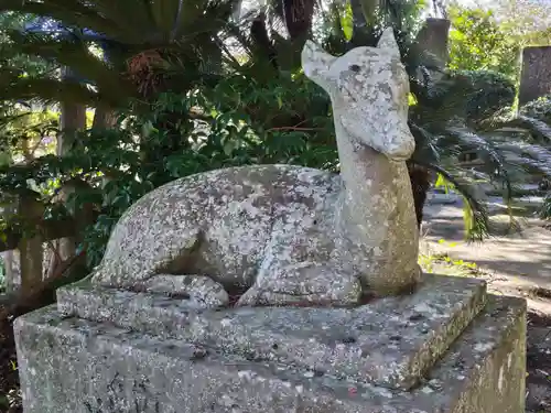 春日神社の狛犬