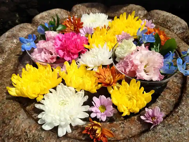 埼玉厄除け開運大師・龍泉寺(切り絵御朱印発祥の寺)(埼玉県)