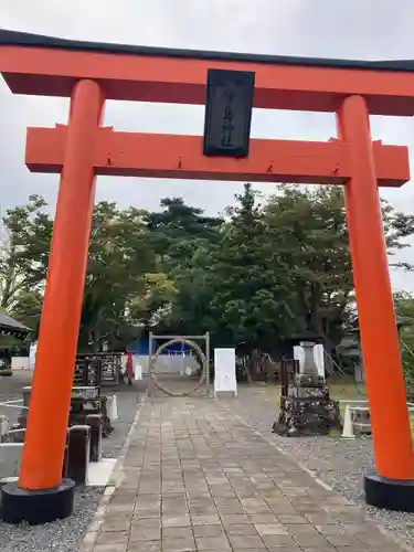 津島神社の鳥居