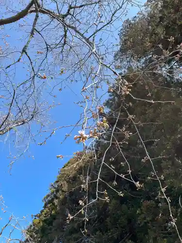 北野神社(福島県)
